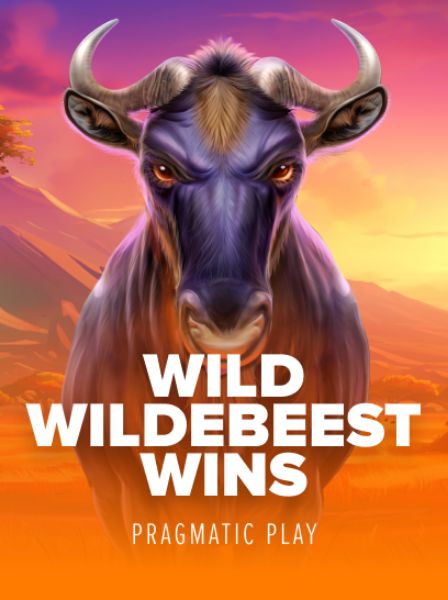 Why LotteryBet Hub is Essential for Modern Lottery Enthusiasts